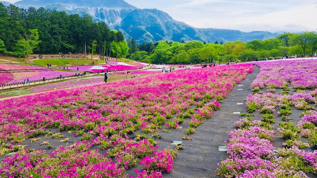羊山公園