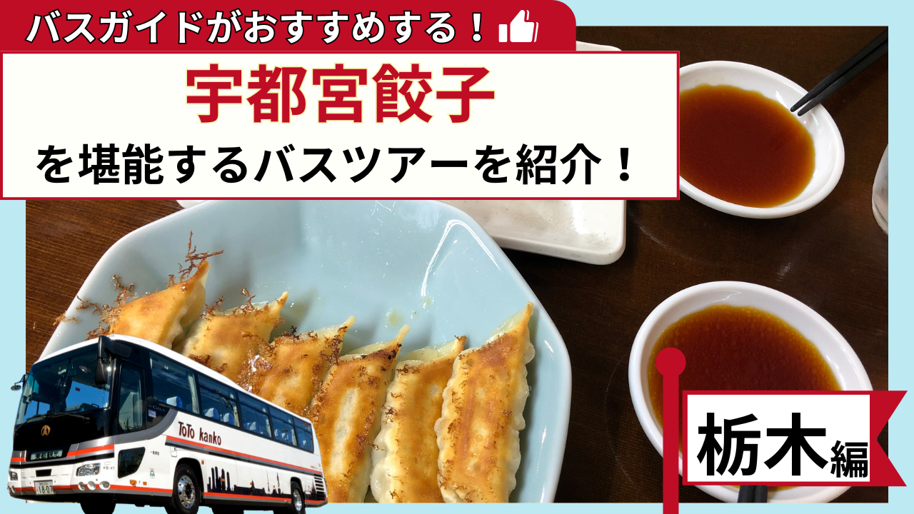 バスガイドがおすすめする！宇都宮餃子を堪能するバスツアー