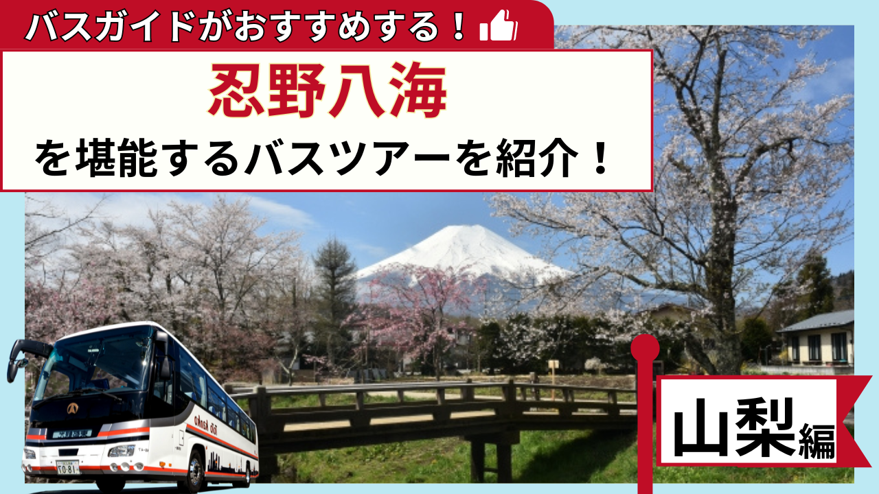 バスガイドがおすすめする！忍野八海を満喫するバスツアー【山梨編 
