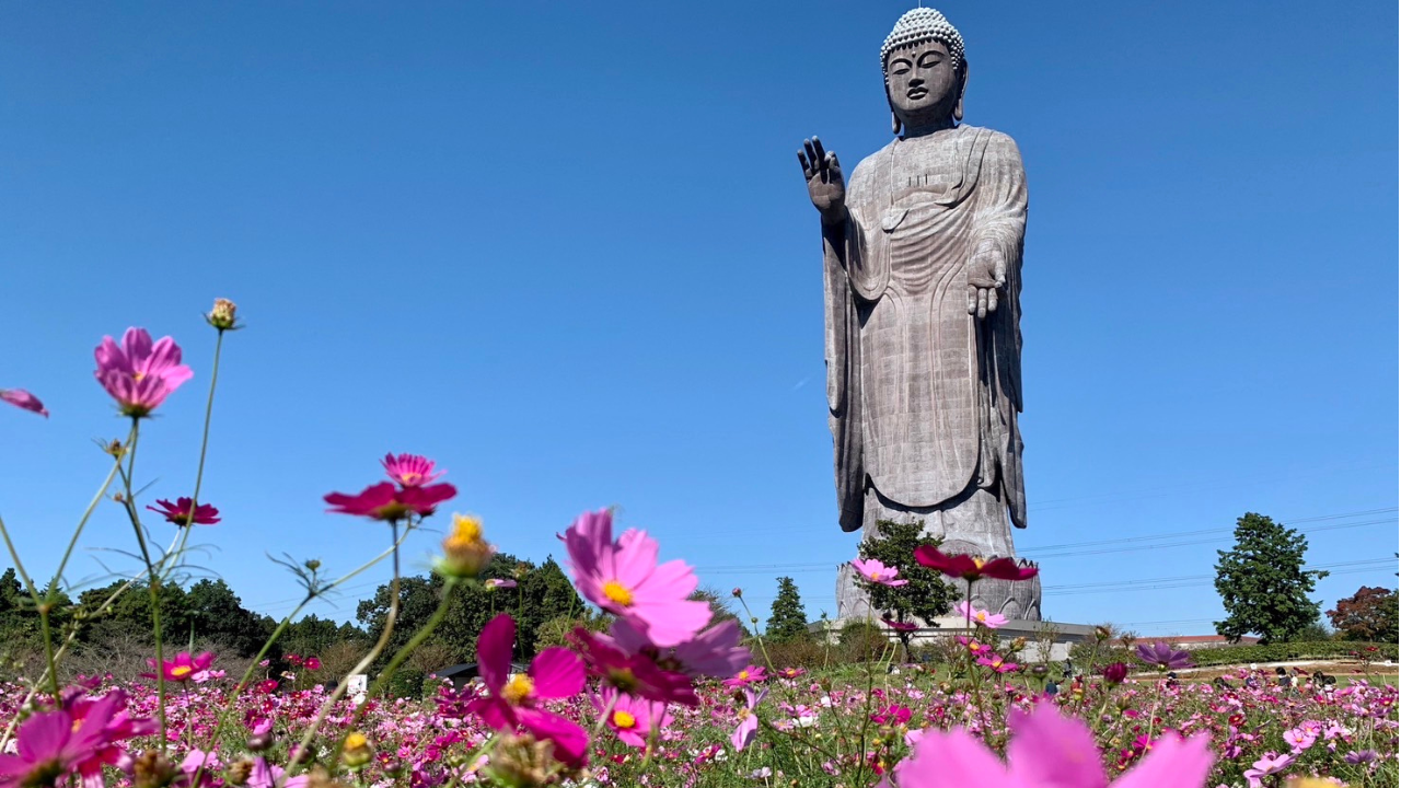 牛久大仏