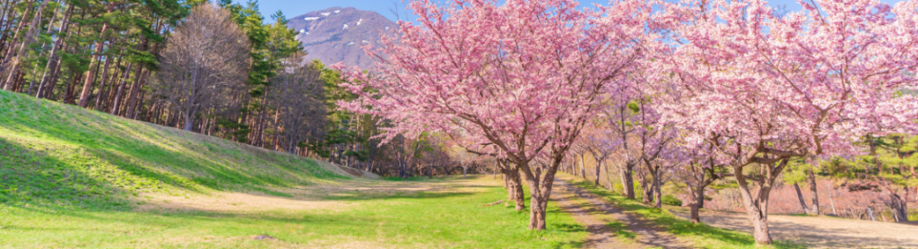昭和の森