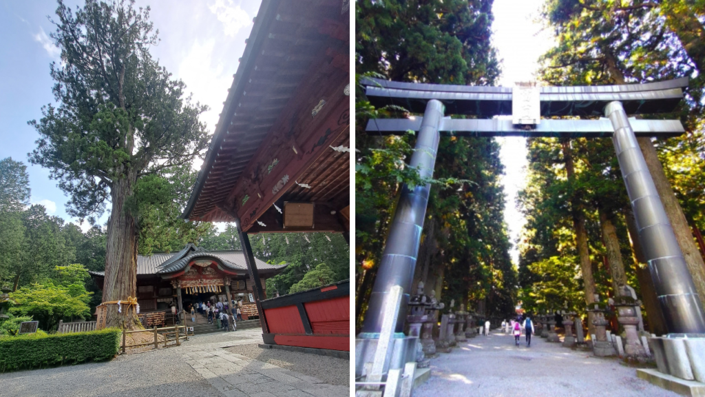 バスツアー富士浅間神社